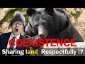 Human-Bear Conflicts: Tourist zones on high alert as serial bear sightings force trail lockdowns