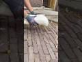 Liquid spray foam fun #asmr #satisfying