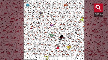 Finding Hidden Panda Among The Snowmen Puzzles The Internet