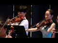 Edward elgar  serenade for strings in e minor op 20