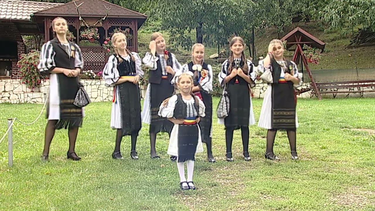 Bunaciu Sofia- Hai flacai din multe sate