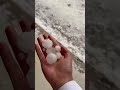 بردية العش جنوب حائل السعودية 20 4 2026