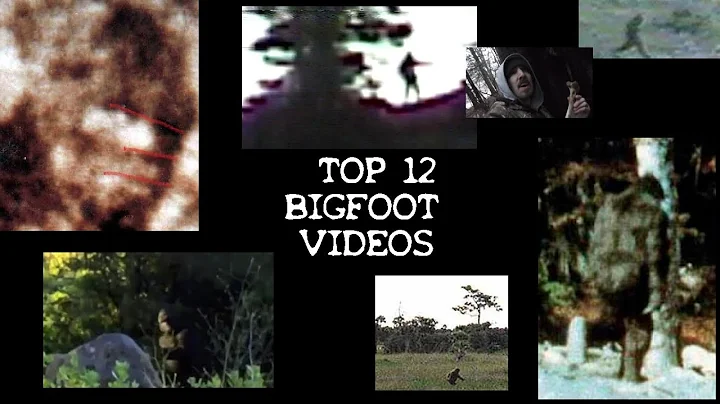 BIGFOOT SASQUATCH Top 12 Most Famous, Convincing, ...