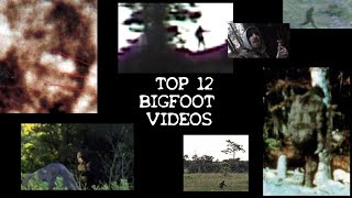 👣 BIGFOOT SASQUATCH AI ENHANCED 2023 Famous \& BEST Video Footage OF ALL TIME COMPILATION ANALYSIS 👣
