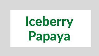 Iceberry Papaya, Ecosynk Agrotech Mobile No. 83580 41513