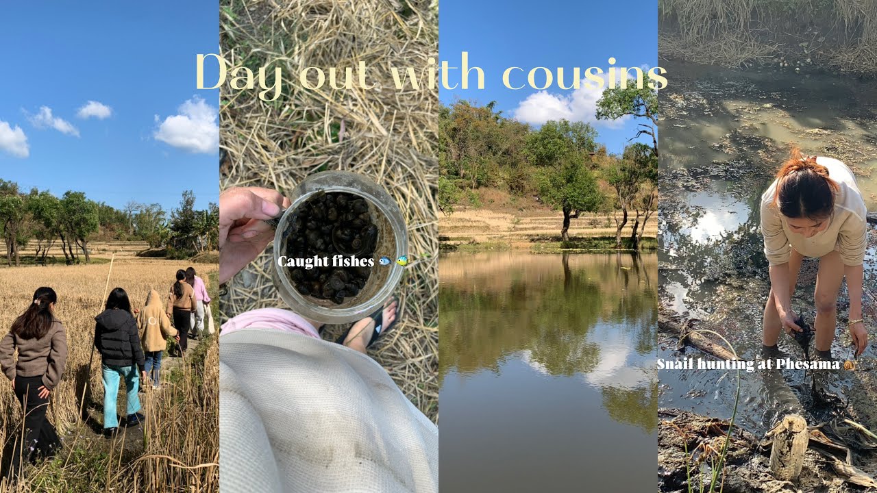 День, проведенный двоюродными братьями и сестрами, охота на улиток в Фесаме.