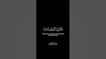 ولقد خلقنا الإنسان من سلالة من طين شاشة سوداء | كرومات قرآن كريم بصوت #ماهر_المعيقلي |#سورة_المؤمنون