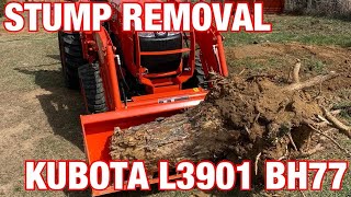 Kubota L3901 BH77 Backhoe Stump Removal [I Found The BH77’s Limits!!]