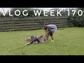 VLOG WEEK 170 - DOG TRAINING & A HAIRCUT | JAMIE GENEVIEVE