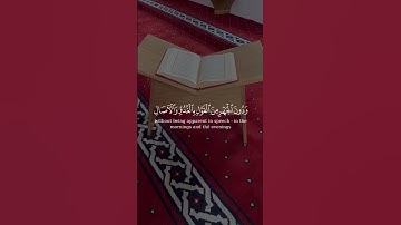 راحة نفسية💕حالات واتس اب قران💕مقاطع دينية قصيرة آيات قرانية/ستوريات انستا#بدون_حقوق