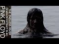 Pink Floyd's The Endless River - Directed by Ian Emes (9 Minute Extract) #4K