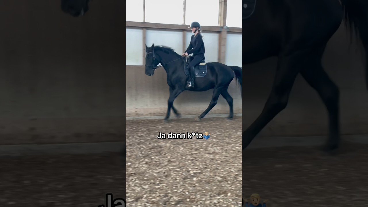 Guter Content und so🤷🏼‍♀️🦄