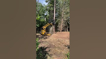 Forestry Mulcher Cuts Down Tree #shorts