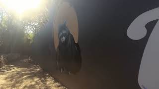 Shoal Creek Bike Trail - Austin, Texas screenshot 3
