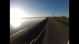 Back at Farmoor Reservoir - November 2022