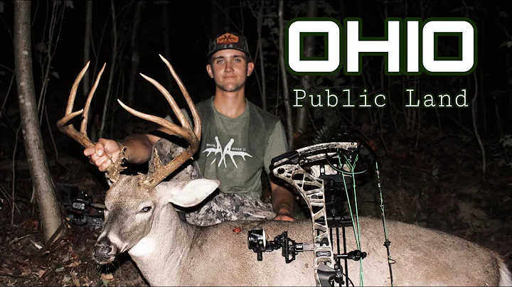 Ohio Public Land GIANT | Early Season Hub Scrape (self-filmed)