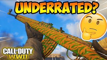 This Rifle is Underrated in COD WW2... (Gewehr 43 Best Class Setup)