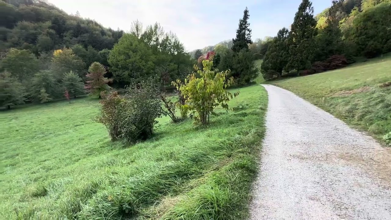 Batanika bogidan manzara mamlakati