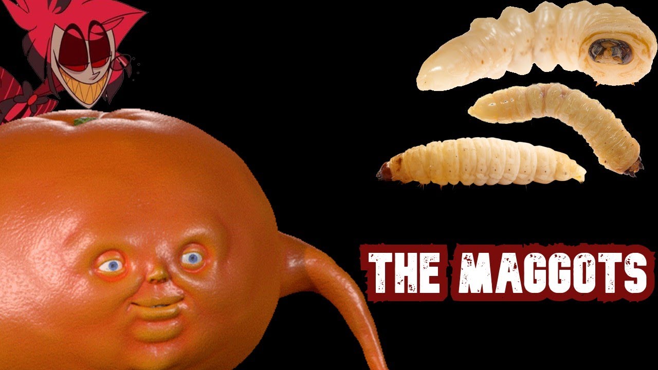 The Maggots YouTube