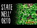 DECISIONI DA PRENDERE: incominciano i video giornalieri!