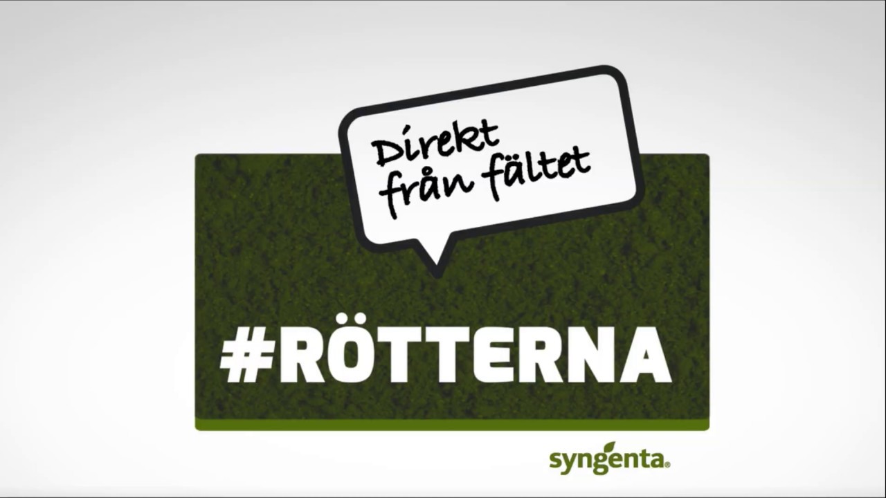 Hur Ser En Rektangel Ut
