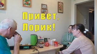 ПРИВЕТ ЛОРИК! 02 апреля 2024