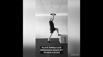Plate Single Leg Romanian Deadlift to Box Catch