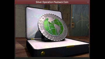 Operation Payback Silver Coin CSGO