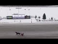 Woodbine Mohawk Park Qualifiers - Saturday, December  13, 2025