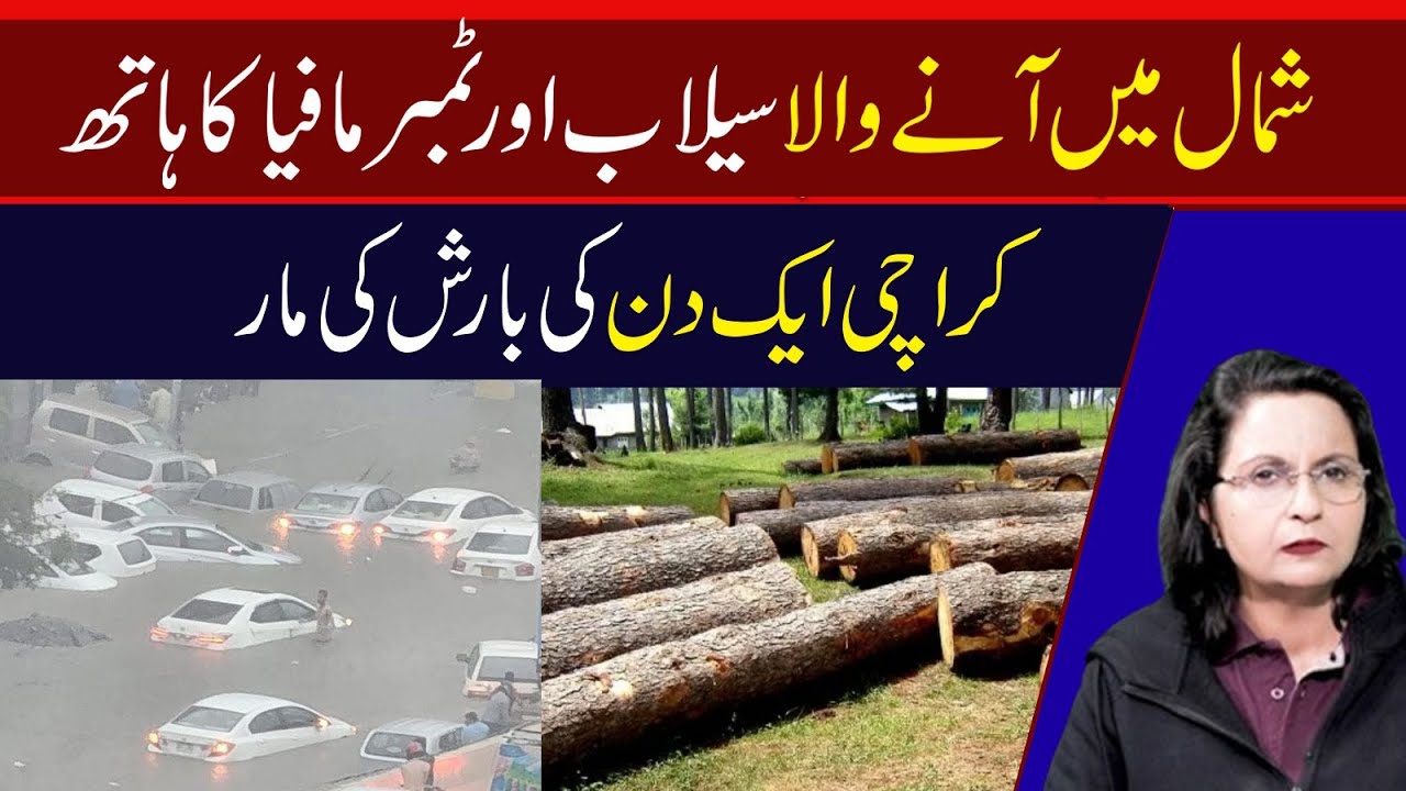 Sailab ki tabahi: Timber mafia| Planning ki kami| Infrastructure nadarud