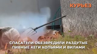 Спасатели обезвредили раздутые пивные кеги копьями и вилами