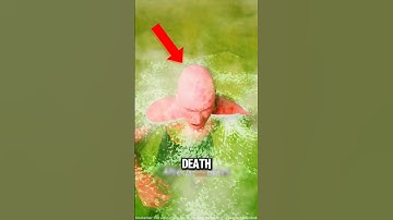 Unbelievable Deaths Caught Offguard 😱‼️ #TrueStory #DarkFacts