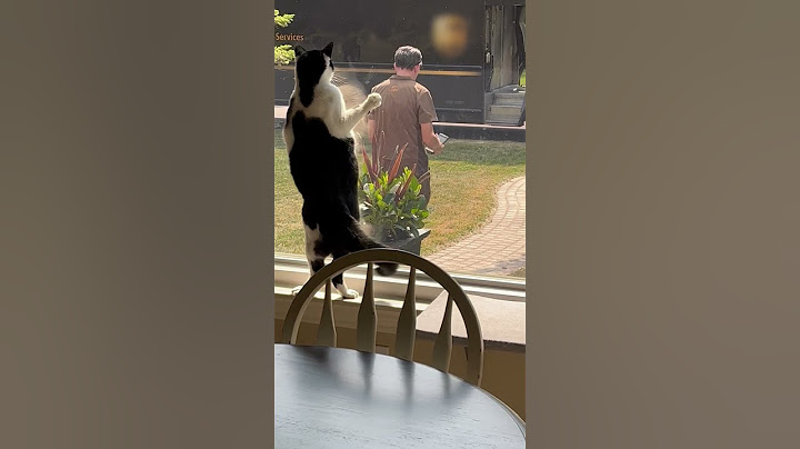 HILARIOUS Delivery Driver Pet Encounters