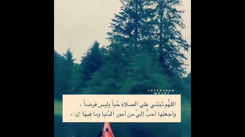 حالات واتس اب قرأن🍃🕊// بصوت القارئ أحمد العجمي  ❤🕊