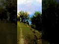 kashmir ma ya jgha ap na kbi ni dakhi hogiii #naturelovers #viralshorts