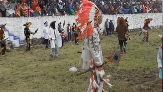 curcubados de la Sociedad Agrícola Tupicocha HRI 2017