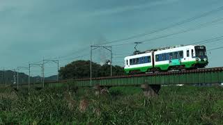 福井鉄道 770形 福武線 普通列車