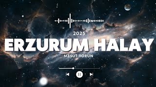 Erzurum Halay - Mesut Torun 2025 Muhteşem 
