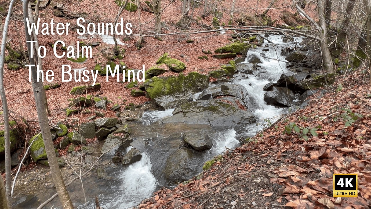 Forest River Sounds 🌿 Water Flowing Over Mossy Rocks | Relax, Sleep & Calm Your Mind (4K)