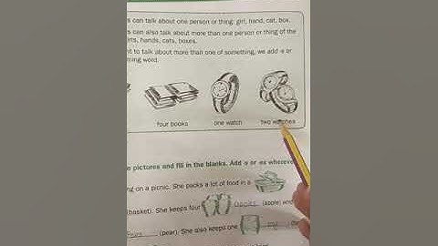 My English Folder | Class-2 Unit-2 Naming Words:One and more than one