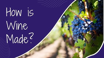How is Wine Made?
