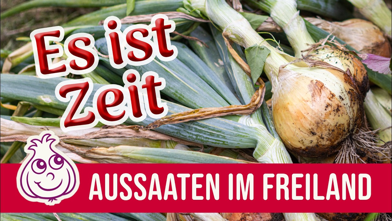 „Sag mal, willst du das wirklich alleine stemmen?“ Mein Mann grinste, während der Wind eisig über unser Beet fegte. Ich hatte gerade Spinat und Radieschen ausgesät und war dabei, das Fließ mit...