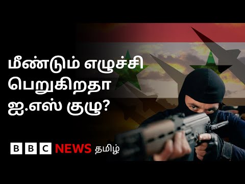 பிபிசி தமிழ் தொலைக்காட்சி செய்தியறிக்கை | BBC Tamil TV News 04/11/2025