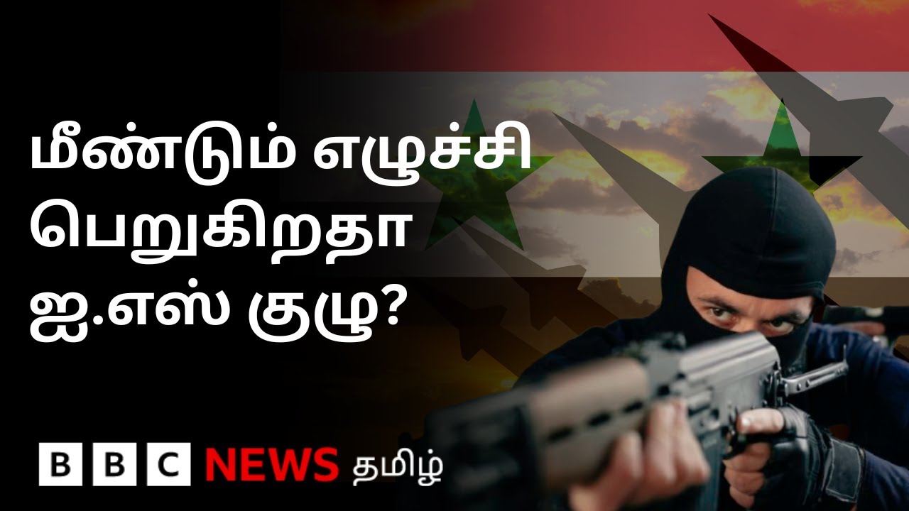 பிபிசி தமிழ் தொலைக்காட்சி செய்தியறிக்கை | BBC Tamil TV News 04/11/2025