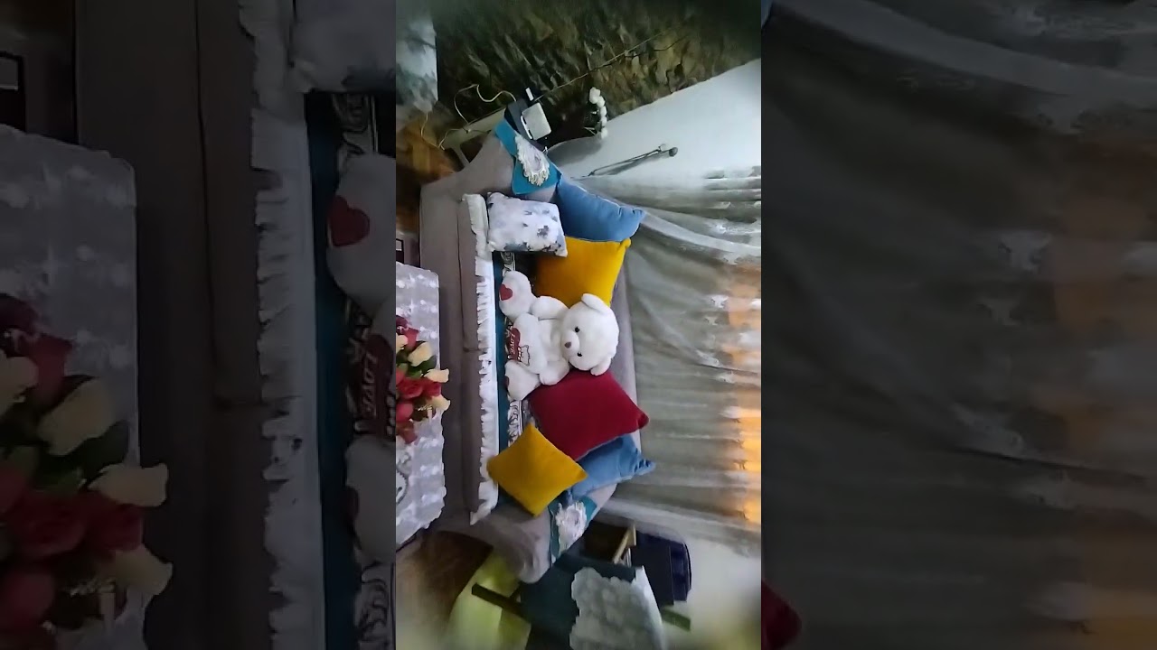 ١٤ فبراير ٢٠٢٦