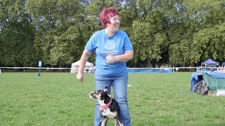 The head of Canine Training at Battersea Dogs and Cats Home: Ali Taylor, Londoner #134 screenshot 4
