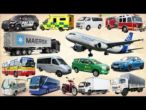Video Street Vehicles Names and Sounds Collection | Police... - youtube