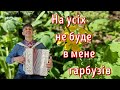 Хлопці кучеряві