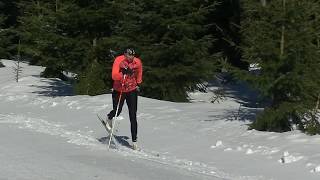 Běh Dvoudobý Střídavý Klasickou Technikou