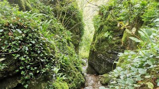 Ebbor Gorge POV 4K by NaturePOV 21 views 6 months ago 6 minutes, 5 seconds